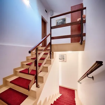 Apartment And Dis Vis
